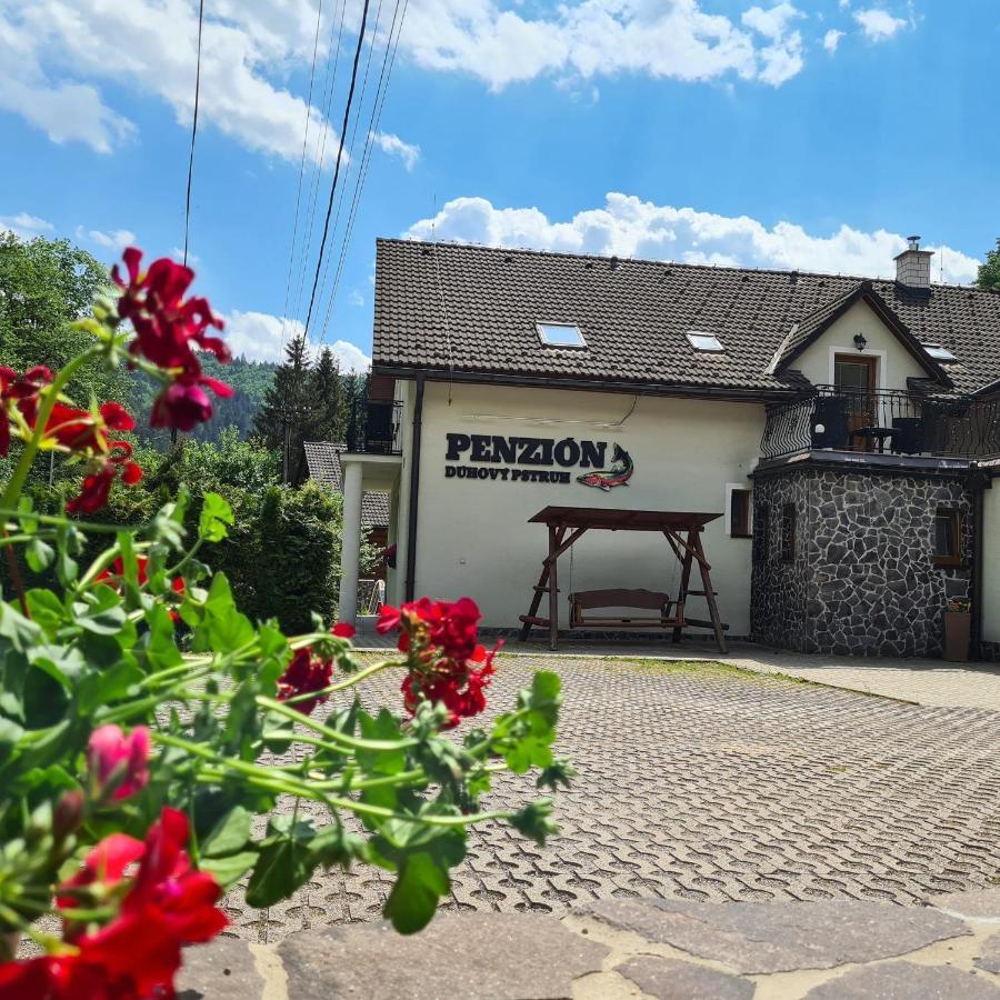 Penzion Duhovy Pstruh Быстра Экстерьер фото